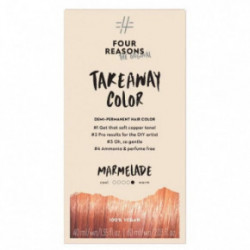 Four Reasons Original Takeaway Demi-Permanent Hair Color Juuksevärv 10.01 Ice Ice Blondy