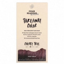 Four Reasons Original Takeaway Demi-Permanent Hair Color Juuksevärv 10.01 Ice Ice Blondy