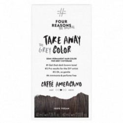 Four Reasons Original Takeaway Demi-Permanent Hair Color Juuksevärv 10.01 Ice Ice Blondy
