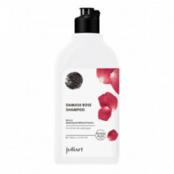 JuliArt Damask Rose Shampoo Juuste taastav šampoon 330ml
