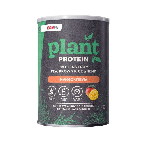 Iconfit Plant Protein Taimsed valgud 480g