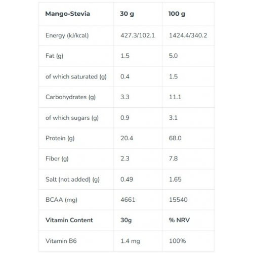 Iconfit Plant Protein Taimsed valgud 480g