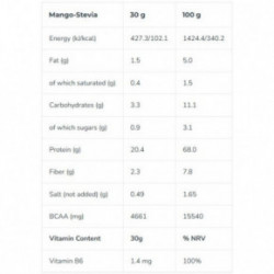 Iconfit Plant Protein Taimsed valgud 480g