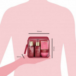 Baylis & Harding Midnight Cherry Luxury Travel Wash Bag Gift Set Kinkekomplekt