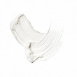 SLA Paris Overactive Concealer Primer Peitepulk 8ml