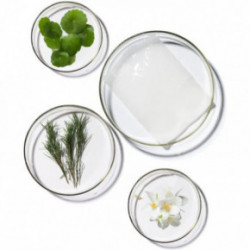 Terrazen PDRN Total Renew Mask Lehtmask 25ml