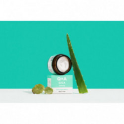 Q+A Cica Calming Overnight Mask Rahustav öine näomask 50g