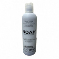 Noah 2.6 Anti-Yellow Hair Mask With Blueberry Extract Neutraliseeriv mask 250ml