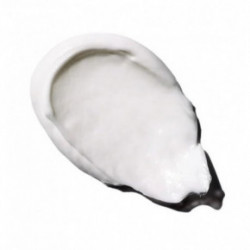 Benamor Alecrim Purifying Foot Cream Taastav jalgade kreem 90ml