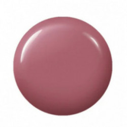 Didier Lab Gel Polish Geelküünelakk 8ml