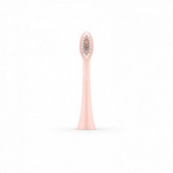ORDO Sonic Brush Head Vahetatavad hambaharja otsikud 4 tk