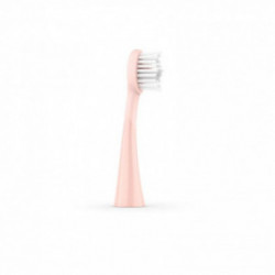 ORDO Sonic Brush Head Vahetatavad hambaharja otsikud 4 tk