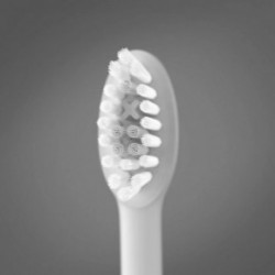ORDO Sonic Brush Head Vahetatavad hambaharja otsikud 4 tk