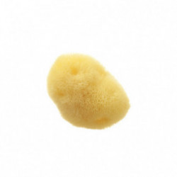 Hydrea London Fina Silk Sea Sponge For Cosmetic or Baby Use Mere käsn 5 cm