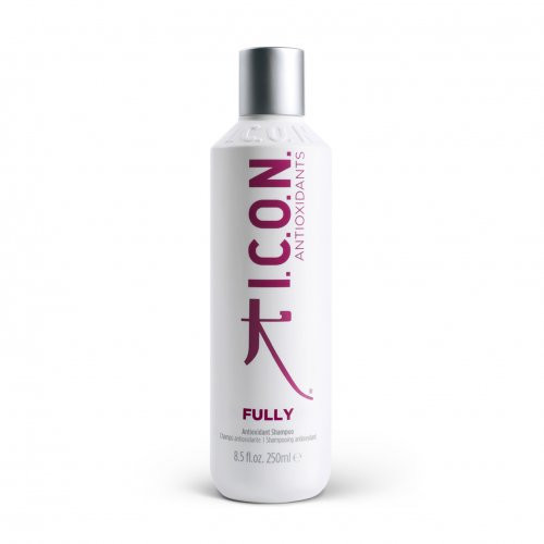 I.C.O.N. Fully Antioxidant Shampoo 250ml