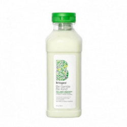 Briogeo Be Gentle, Be Kind Kale + Apple Replenishing Conditioner Palsam kuivadele juustele 369ml