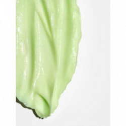 Briogeo Be Gentle Be Kind Avocado + Kiwi Mega Moisture Superfood Mask kõikidele juuksetüüpidele 240ml