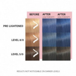 Wella Professionals Color Fresh Mask Tooniv juuksemask 150ml
