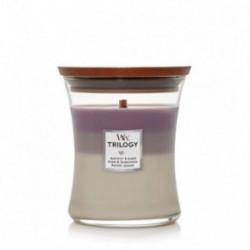 WoodWick Amethyst Sky Lõhnaküünal Heartwick