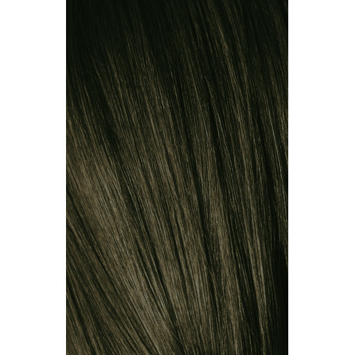 Schwarzkopf Professional Igora Royal Color10 Juuksevärv 60ml
