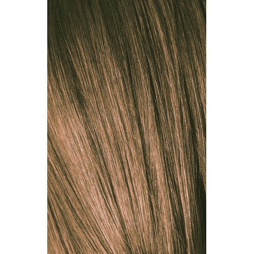 Schwarzkopf Professional Igora Royal Color10 Juuksevärv 60ml