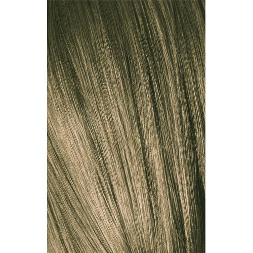 Schwarzkopf Professional Igora Royal Color10 Juuksevärv 60ml