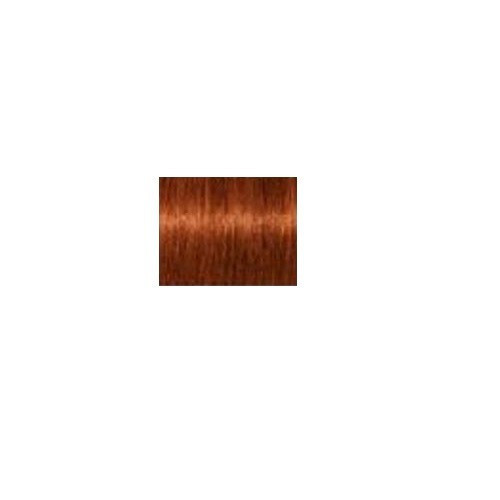Schwarzkopf Professional Igora Royal Permanent Color Creme Juuksevärv 60ml