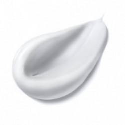 Embryolisse Laboratories Anti Age Comfort Mask Näomask 60ml